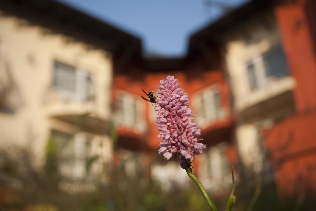 Szonyi Garden Hotel Pest Budapest Ngoại thất bức ảnh